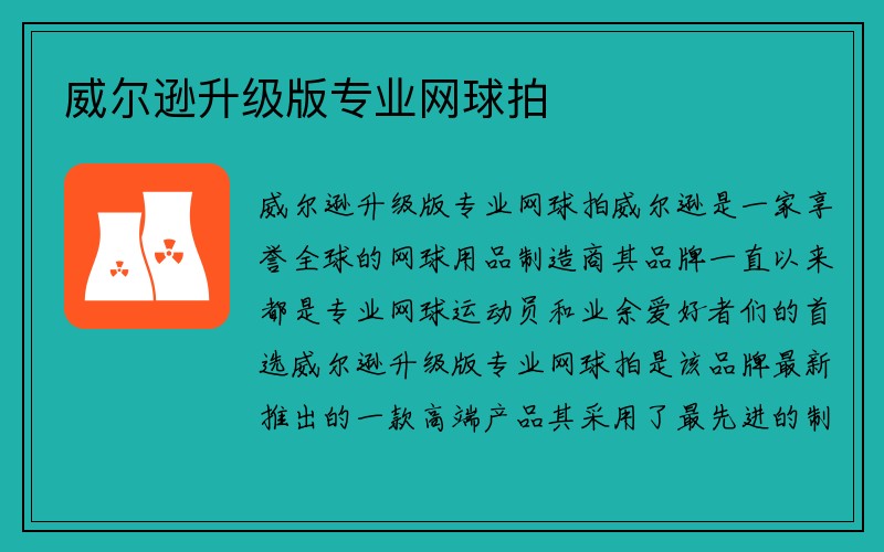 威尔逊升级版专业网球拍