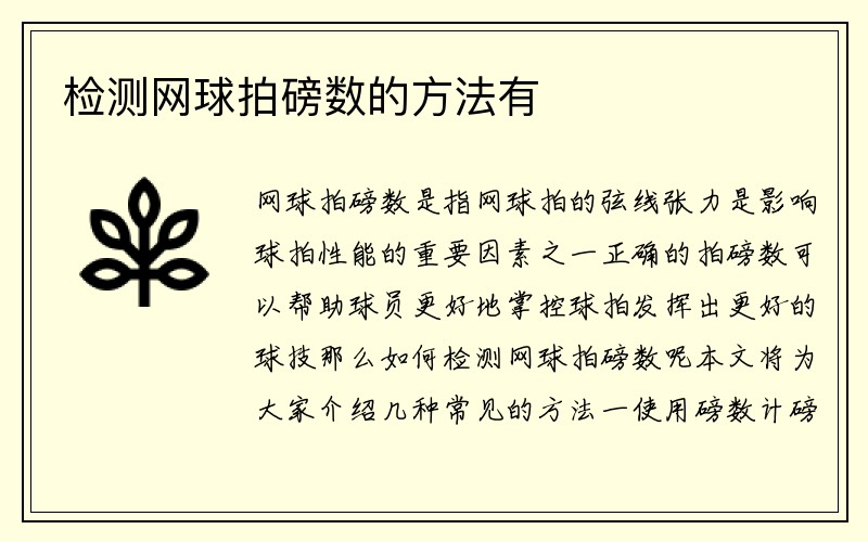 检测网球拍磅数的方法有