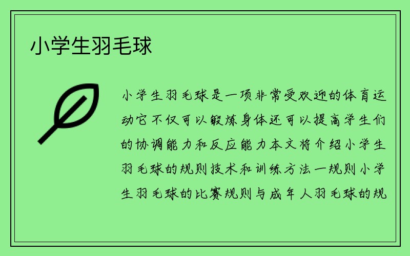 小学生羽毛球