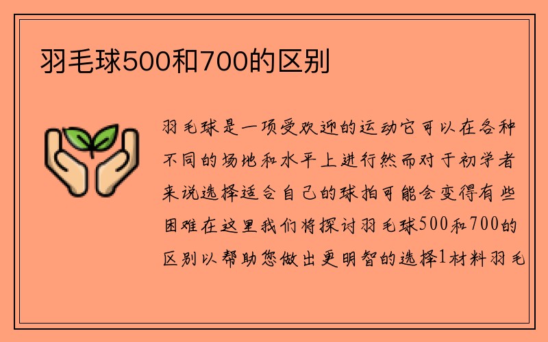 羽毛球500和700的区别